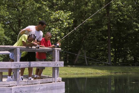 Bridge family fishery