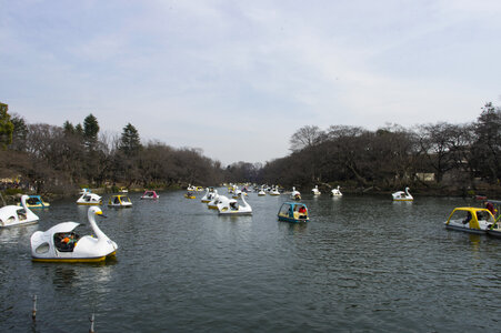 35 Inogashira Park