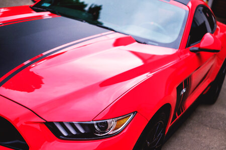 Mustang Car photo