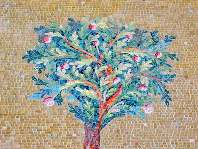 Apple historic tree