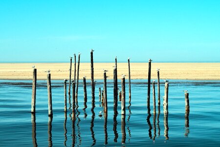 Beach beach erosion pillar photo