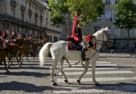 The royal horse guards photo