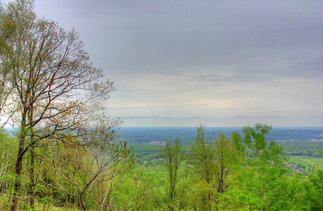 Forest from the top at Rib Mountain State Park, Wisconsin photo