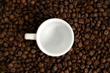 Bean caffeine cappuccino photo