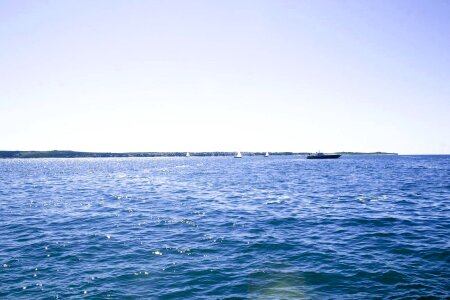 Aquatic surface 