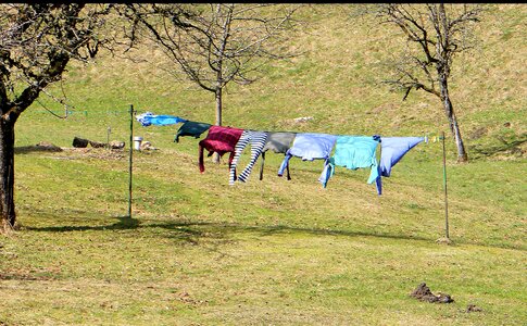 Dry dry laundry hang