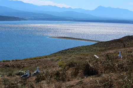 Protection Island National Wildlife Refuge