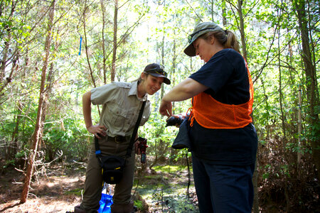 Delmarva Peninsula fox squirrel pit tagging-2