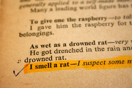 Smell A Rat Phrase photo