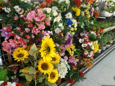 Flowers for Sale