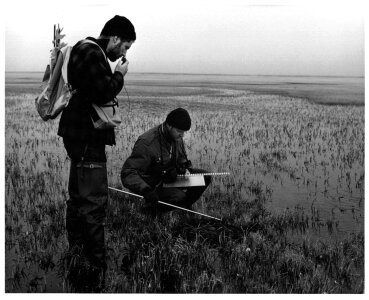 Checking tundra bird nest with measuring tools photo