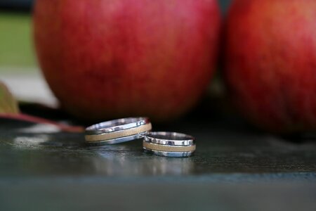Apple apples close-up