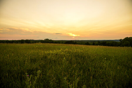 Dusk and sunset over the grassland in Cross Plains State Park photo