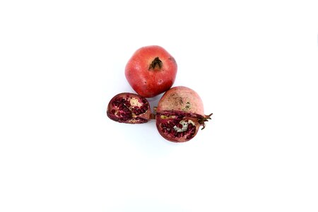 Antioxidant antitoxin carbohydrate