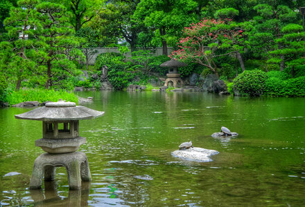 The beautiful Japanese garden