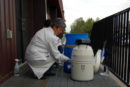 Carriage cleaning containers
