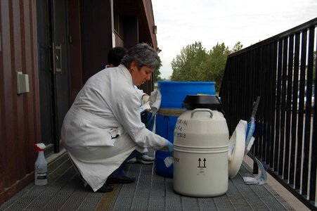 Carriage cleaning containers photo