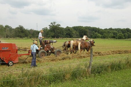 Haying agriculture country