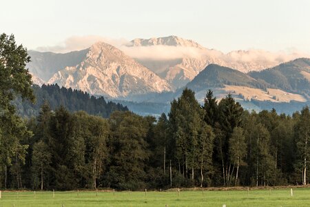 Alpine nature allgäu photo