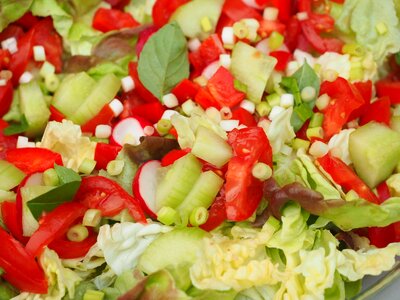 Tomato radishes healthy photo