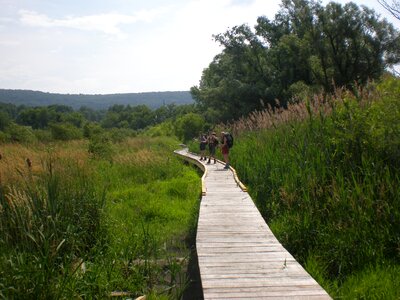 Landscape wilderness scenery photo