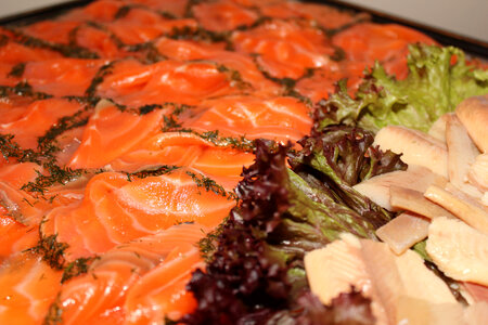 Lots of red salmon meat and lettuce photo