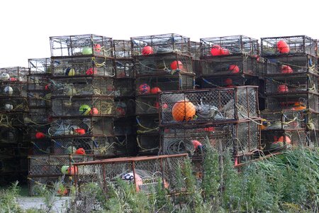 Crab harbor pots