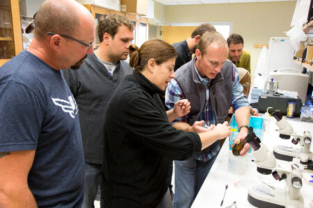 Biologists learn how to grow freshwater mussels-4