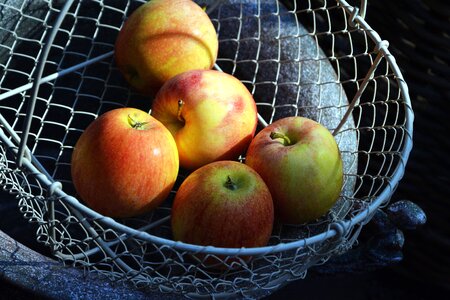 Apple basket beautiful photo