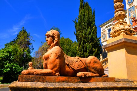 Pecs university hungary