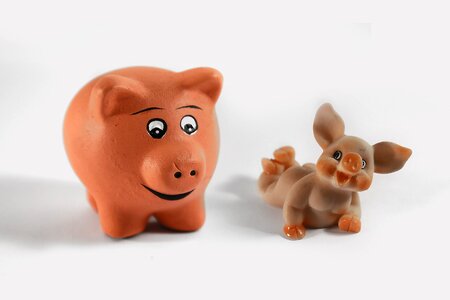 Luck lucky pig lucky charm
