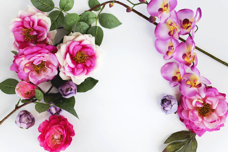 Pink Roses and Orchid Flowers on White Background photo