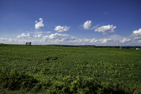 Farm Landscape to the Horizon