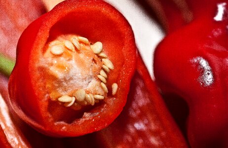 The grain of paprika red red pepper photo