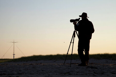 Service biologist studies shorebirds