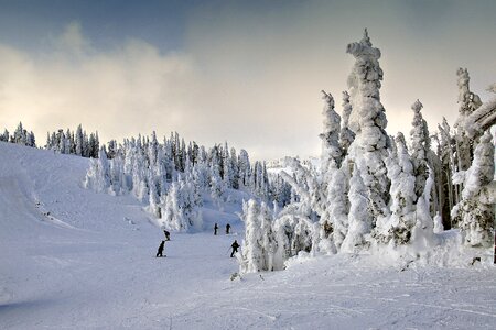 Activity skiing cold