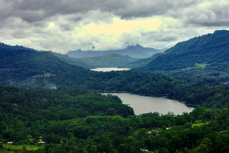 Forest Landscape photo