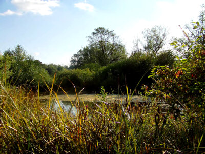 Nutria home photo