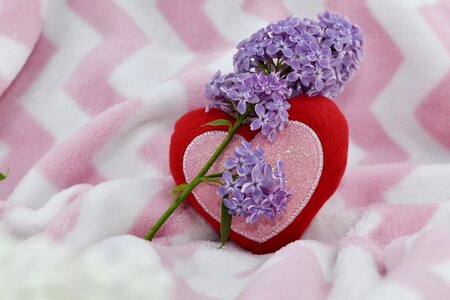 Heart lilac love