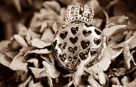 Accessory autumn autumn season