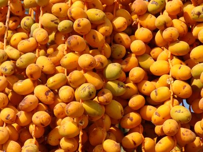 Fruit yellow foodstuffs