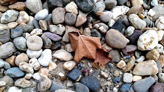 Cobblestone ecology environment photo