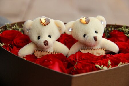 Gift flower romantic