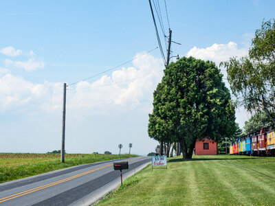 Road and Farmland photo