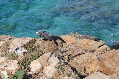 Nature sea water