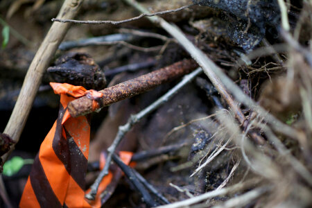 Flagging during river and stream assessment-1 photo