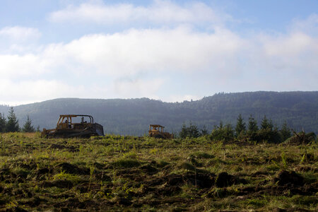 Red spruce restoration partners-4