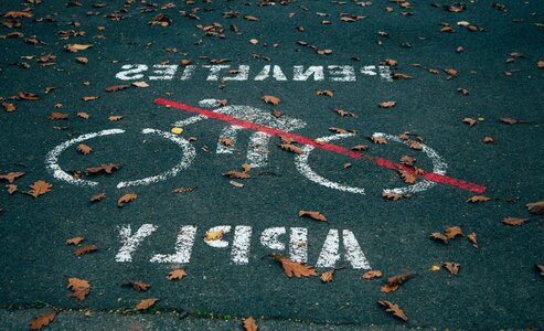 Asphalt leaf signage