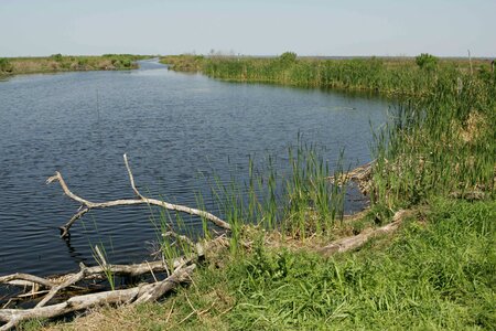 Habitat lake natural photo