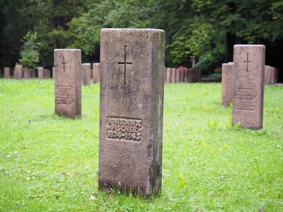 Cemetery woodland cemetery graves